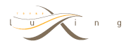 Luxing Tours Lda